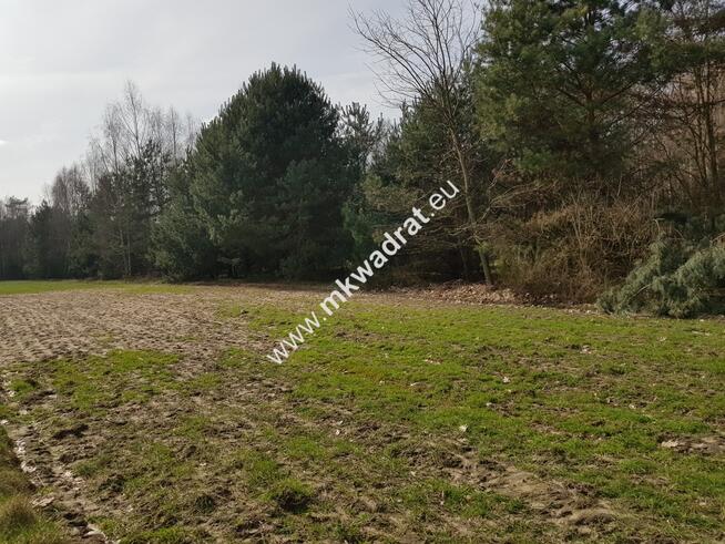 Borszyce gm. Kowiesy działka 2514 m