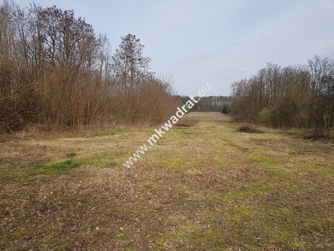 Borszyce gm. Kowiesy działka 11 128 m