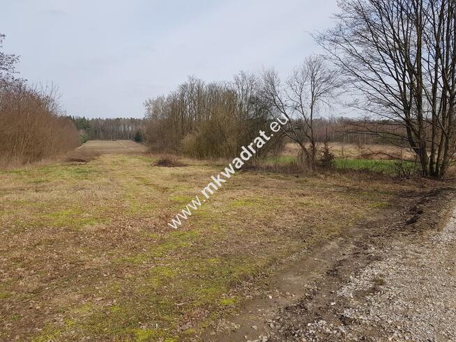 Borszyce gm. Kowiesy działka 11 128 m