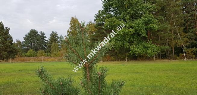 urokliwa działka przy lesie dom 2 -lokalowy