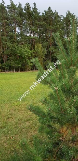 urokliwa działka przy lesie dom 2 -lokalowy