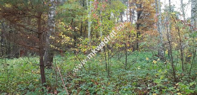 ⭐⭐⭐⭐ Działka budowlano-leśna z M-P-Z-P ⭐⭐⭐⭐