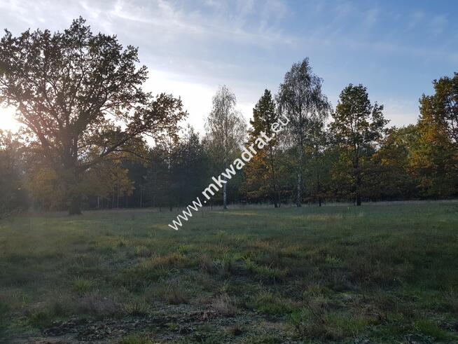 ⭐⭐⭐⭐⭐ Urokliwa Działka Makówka 1600m ⭐⭐⭐⭐⭐