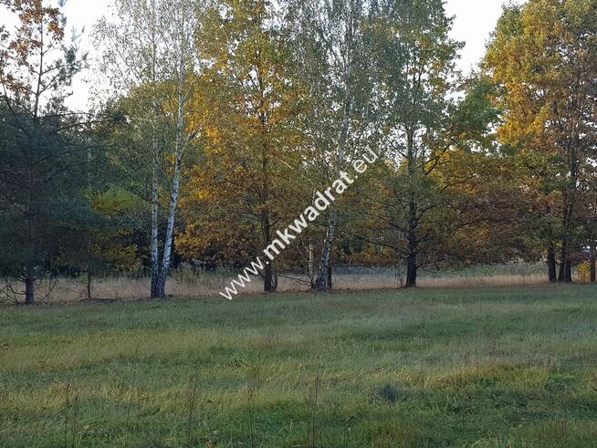 ⭐⭐⭐⭐⭐ Urokliwa Działka Makówka 1600m ⭐⭐⭐⭐⭐