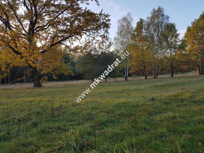 ⭐⭐⭐⭐⭐ Urokliwa Działka Makówka 1600m ⭐⭐⭐⭐⭐