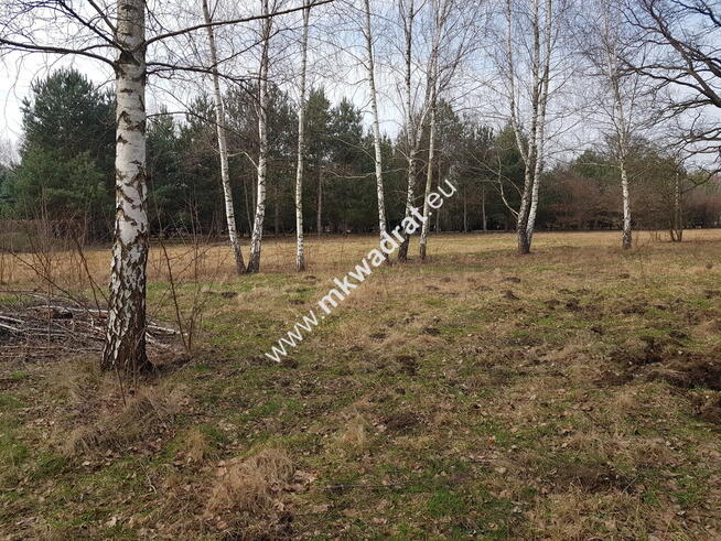 ⭐⭐⭐⭐⭐ Urokliwa Działka Makówka 1600m ⭐⭐⭐⭐⭐