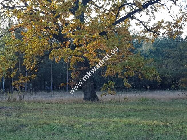 ⭐⭐⭐⭐⭐ Urokliwa Działka Makówka 1600m ⭐⭐⭐⭐⭐