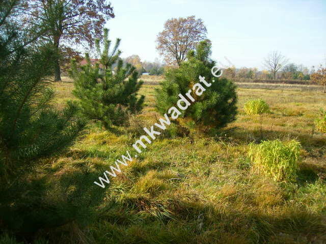 działka w super lokalizacji! -budynek 2 -lokalowy