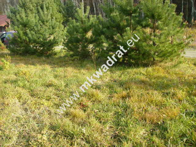 działka w super lokalizacji! -budynek 2 -lokalowy