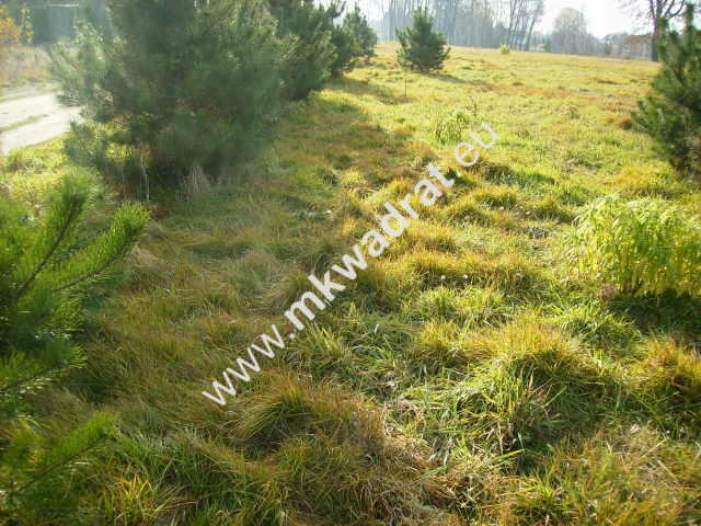 działka w super lokalizacji! -budynek 2 -lokalowy