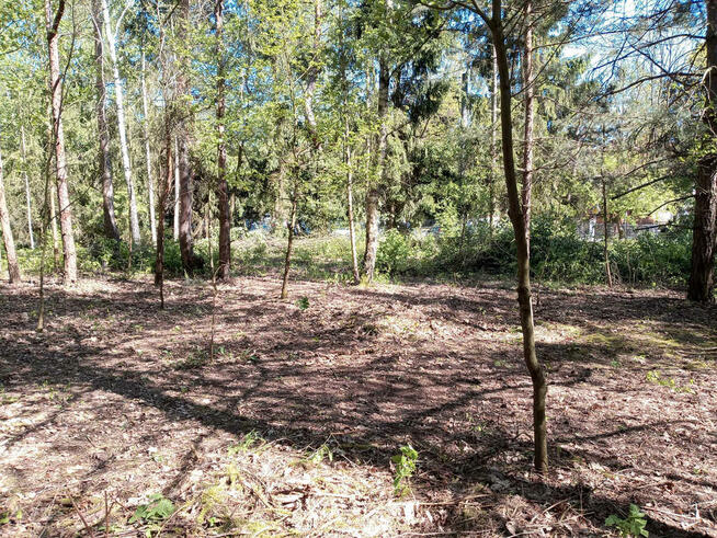 ⭐⭐⭐⭐⭐ Działka w okolicy Hotelu Afrodyta ⭐⭐⭐⭐⭐