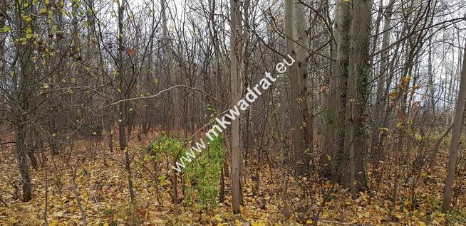 Działka z MPZP Terenia