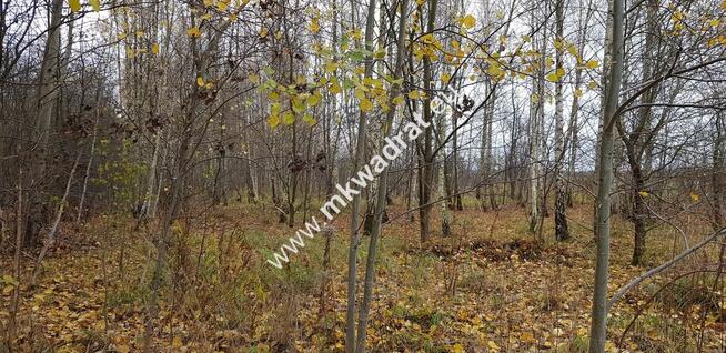 Działka z MPZP Terenia