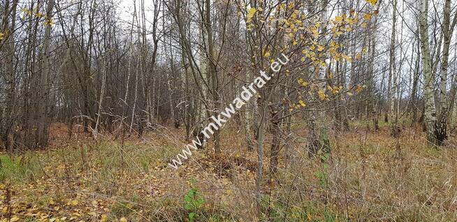 Działka z MPZP Terenia