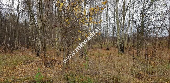 Działka z MPZP Terenia