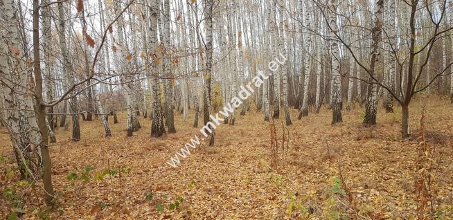⭐⭐⭐⭐działka siedliskowa z WZ na dom + bud.gar⭐⭐⭐⭐