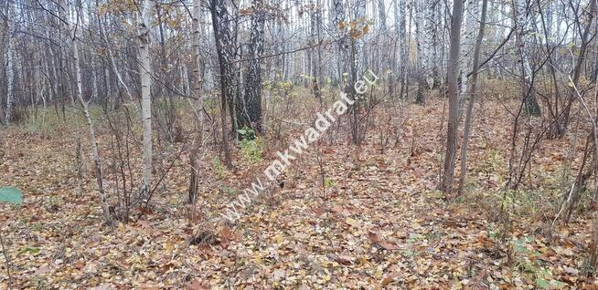 ⭐⭐⭐⭐działka siedliskowa z WZ na dom + bud.gar⭐⭐⭐⭐