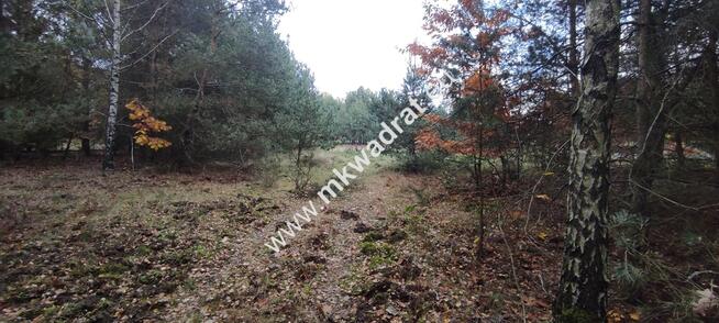 Ładna okolica MeDiA MPZP Okazja! super cena!