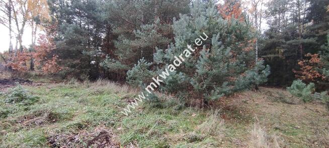 Ładna okolica MeDiA MPZP Okazja! super cena!