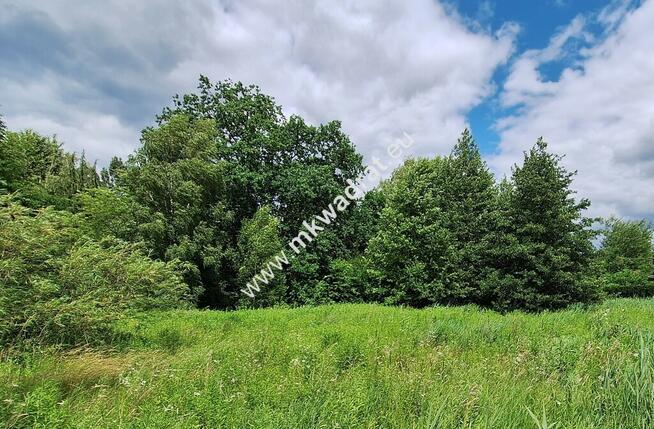 Działka w dobrej lokalizacji blisko lasu