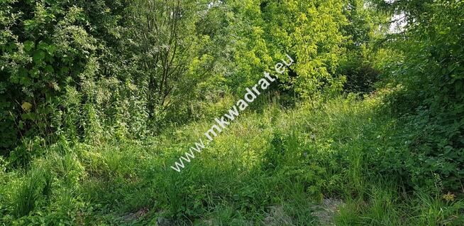 Osowiec gm. Żabia Wola | 1653m2 | narożna | MPZP