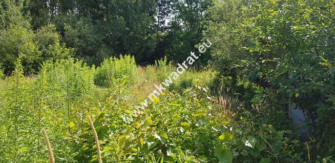 Osowiec gm. Żabia Wola | 1653m2 | narożna | MPZP