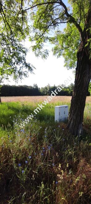 Piękna działka pod lasem Chrzczany k/Sochaczewa