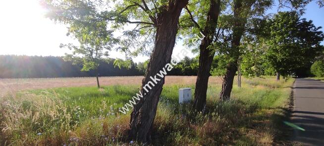 Piękna działka pod lasem Chrzczany k/Sochaczewa