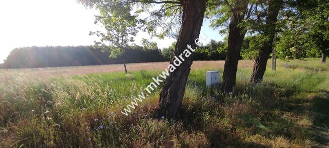 Piękna działka pod lasem Chrzczany k/Sochaczewa