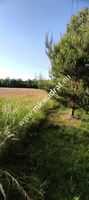 Piękna działka pod lasem Chrzczany k/Sochaczewa