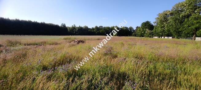 Piękna działka pod lasem Chrzczany k/Sochaczewa