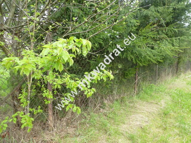 Działka budowlano-usługowa Żółwin