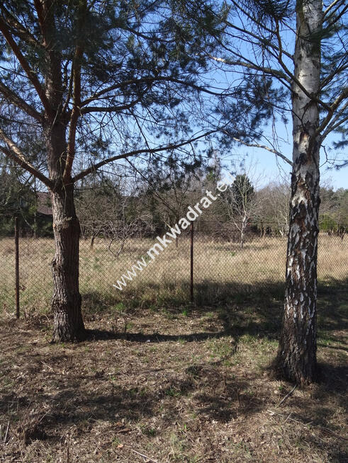 Działka blisko zbiornika komorowskiego