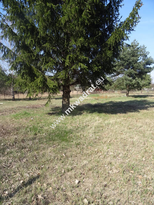 Działka blisko zbiornika komorowskiego