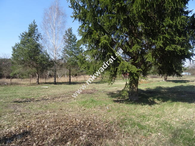 Działka blisko zbiornika komorowskiego