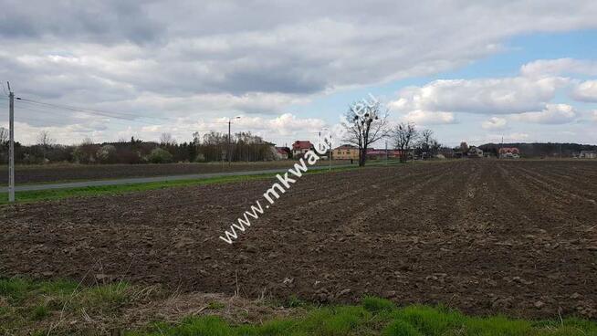 Okazja Działki Leszno k/Błonia