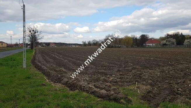 Okazja Działki Leszno k/Błonia