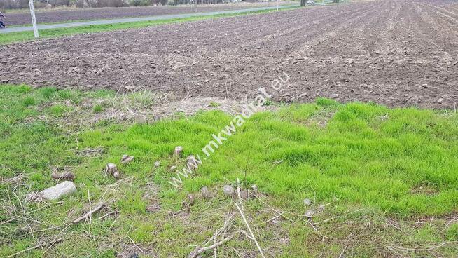 Okazja Działki Leszno k/Błonia