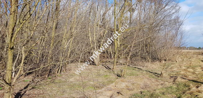 Działki w okol. Sochaczewa MEDIA!! Warto!