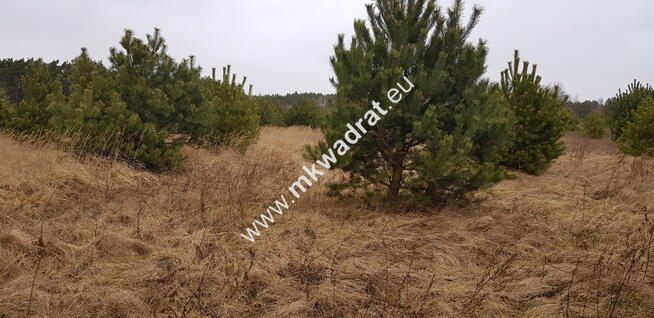 Działka z dojazdem od ulicy gminnej