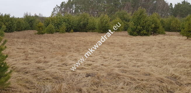 Działka z dojazdem od ulicy gminnej