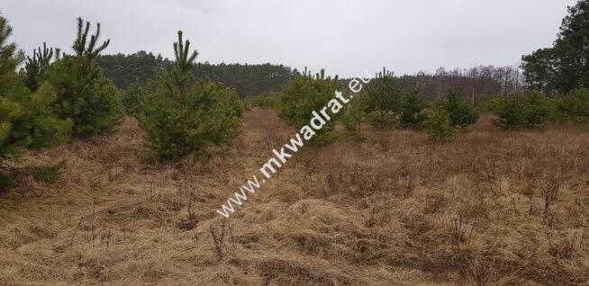 Działka z dojazdem od ulicy gminnej