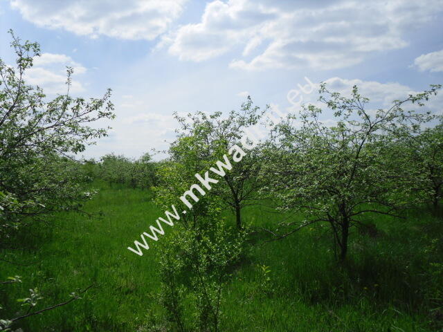 działki dla zabudowy bliźniaczej