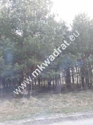 Możl podziału na 2 | Okazja! | Objęta MpZP | Super