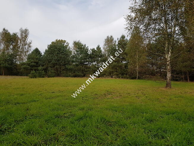 Działka 1000m z MPZP