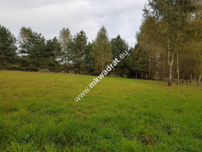 Działka 1000m z MPZP