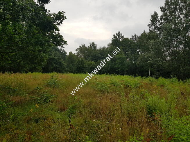 Super z MPZP! drzewa! Media, cisza spokój ulica gm