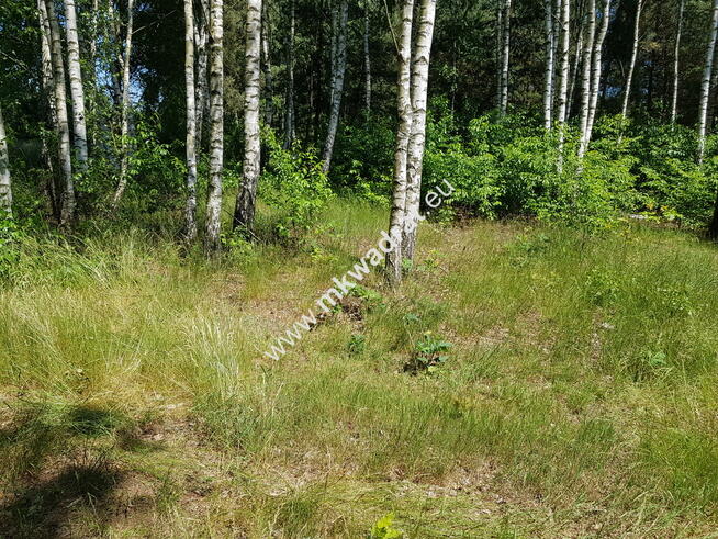 ⭐⭐⭐⭐⭐ Działka z MPZP zabud jednorodz 2-lokal.⭐⭐⭐⭐⭐
