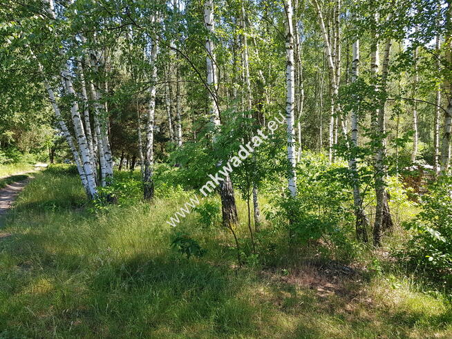 ⭐⭐⭐⭐⭐ Działka z MPZP zabud jednorodz 2-lokal.⭐⭐⭐⭐⭐