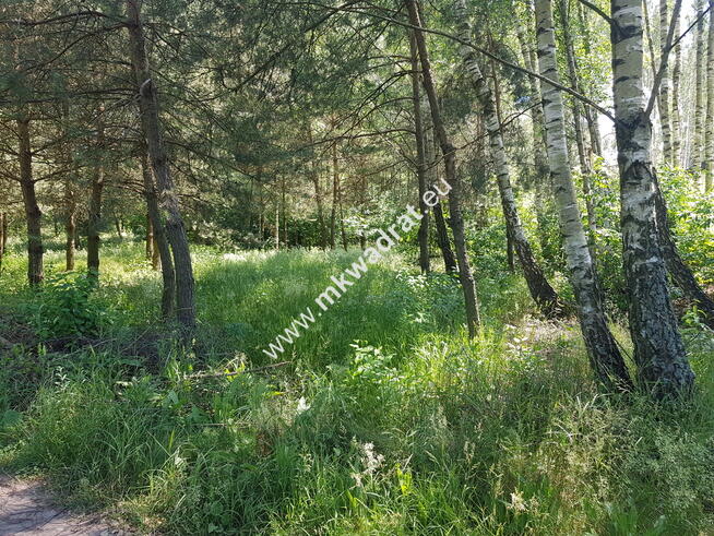 ⭐⭐⭐⭐⭐ Działka z MPZP zabud jednorodz 2-lokal.⭐⭐⭐⭐⭐